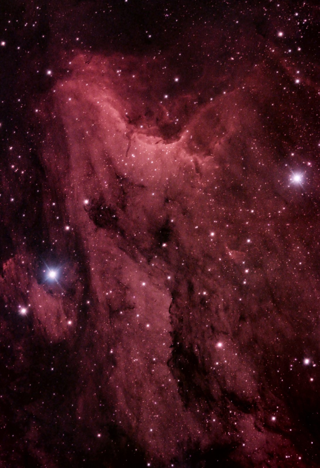 Pelican Nebula